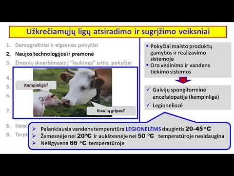 Video: Kombinuota Arklių Imunodeficito Liga (CID)