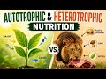 Class 10 Science Biology | Autotrophic Nutrition in Plants | Important For Board Exam | #exam