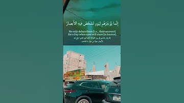 لنقود ونستمع 🎧🚗…اكتب شيء تؤجر عليه ‏‎#اكسبلور #tree #home  #قرآن #street #سورة_ابراهيم #طارق_محمد