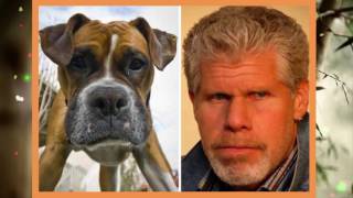 Celebrities That Look Like Animals