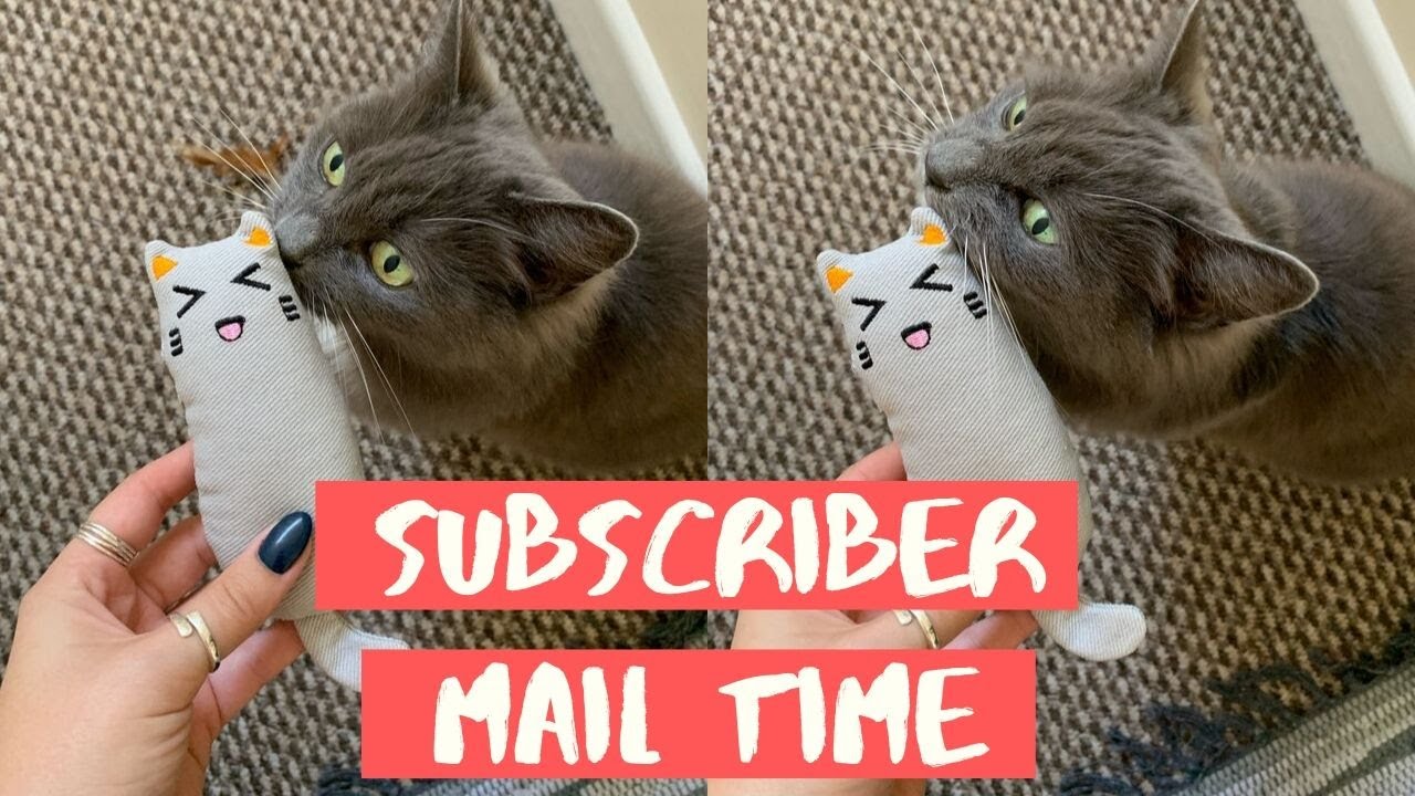 Lucky Cat Opens Presents  * Subscriber Mail Time