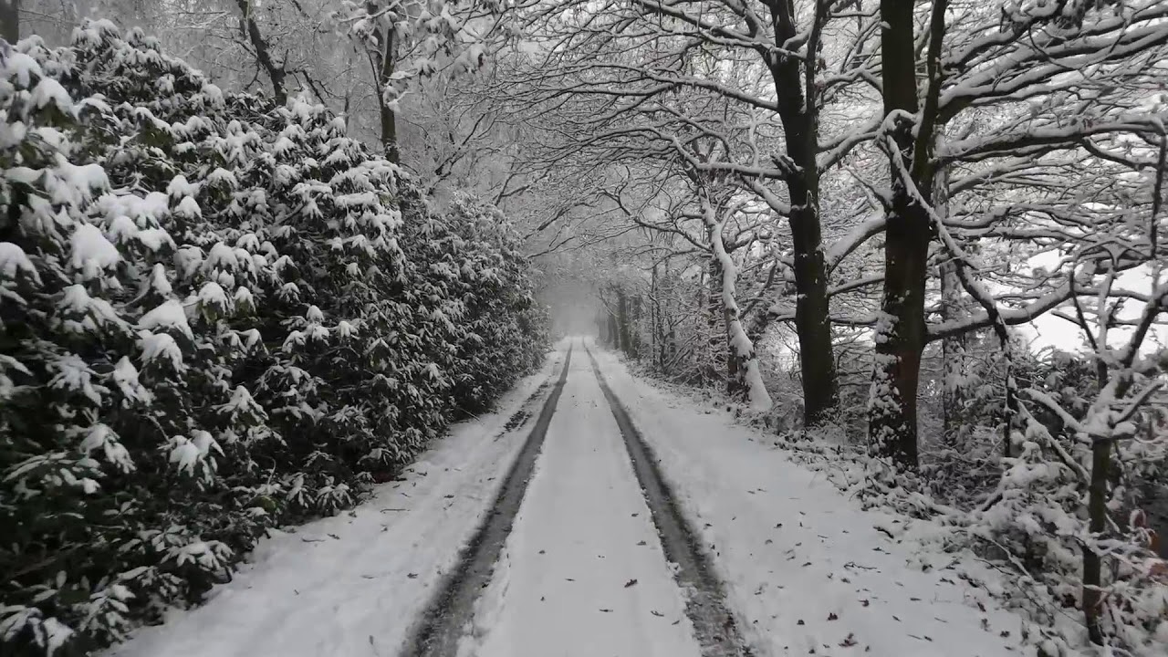 Muzik Shqip 24/7 | Vibe & Remix