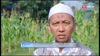Download lagu Santri Quran Peduli Masa Depan on MNC TV