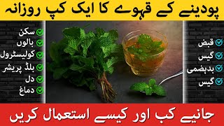 Pudina Ka Kahwa Peene Ke Fayde Pudina Ka Kahwa Benefits In Urdu Podina Ke Fayde