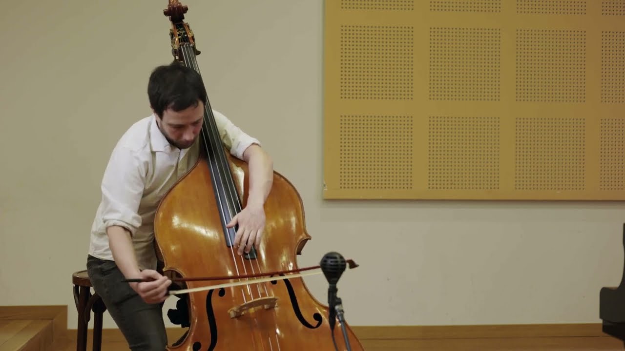 Concert for double bass and orchestra [1st movement] (Karl Ditters Von Dittersdorf)  Gaizka Jauregui