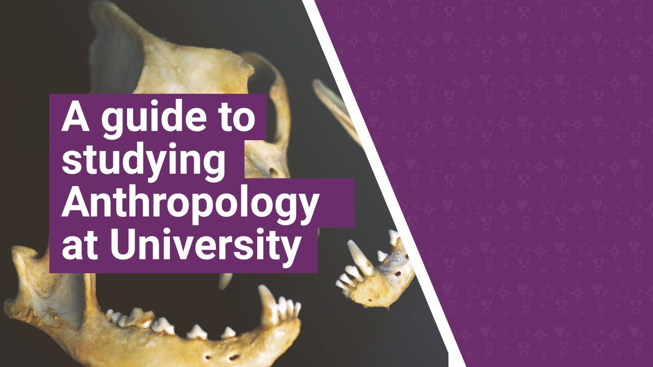 'A guide to' video thumbnail