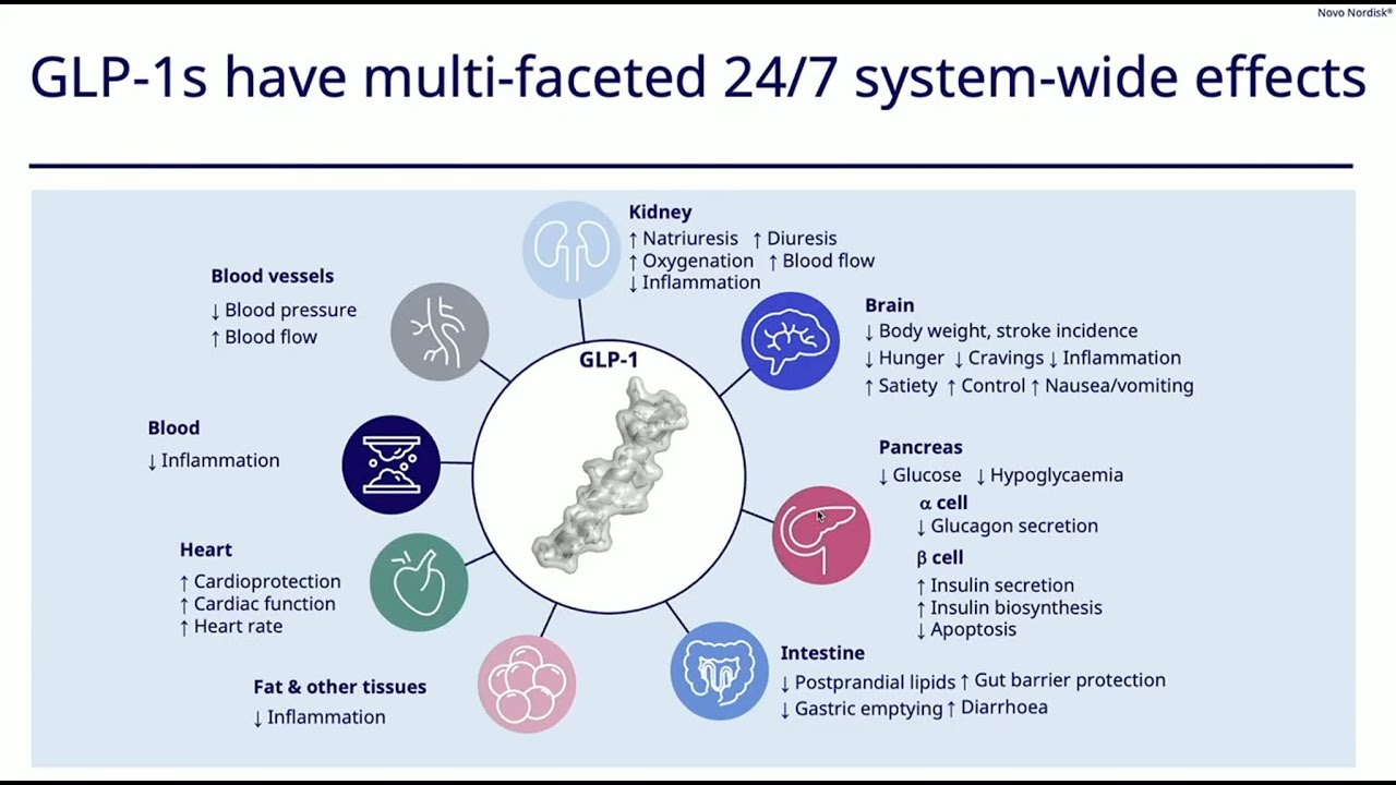 Tirzepatide and Semaglutide are the First Proven Longevity Medicines