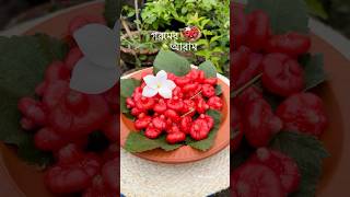 #bangladesh #food #foodie #fruits #summer #summerspecial #blogger