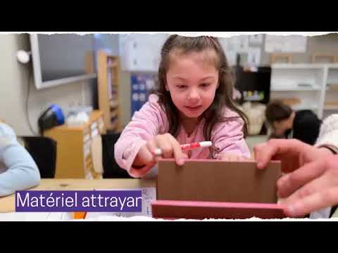 Les Lilas French Bilingual Community School, Etats-Unis​​​ - Création d'une école innovante