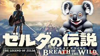 ゼルダの伝説 mqdefault.jpg