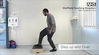 Celebrity Spinal rehabilitation exercises Step up and over Net Worth