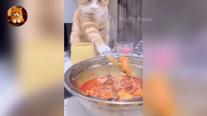 Watch the video about Funny ANIMALS videos 😂 | Funniest Cats and Dogs 2025 🐶😼 | Part 80