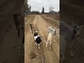 #деревня #сила #жизнь #земля