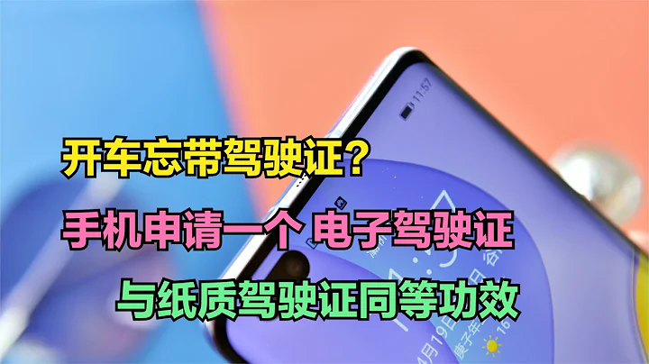 开车忘带驾照？手机申请一个电子驾驶证，与纸质驾驶证同等功效【码不亭蹄】 - 天天要闻