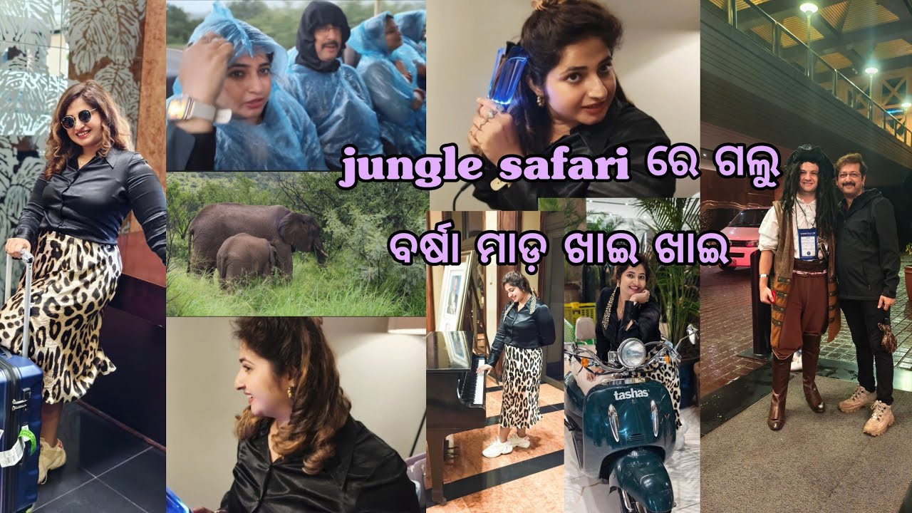 ମଜା ଆସିଗଲା ଆଜି ଏତେ ପାଖରେ ସବୁ ଜନ୍ତୁ ଙ୍କୁ ଦେଖି/ କାଷ୍ ମୋତେ ପିଆନୋ ବଜେଇ ଆସିଥାନ୍ତା/ hair curl କଲି