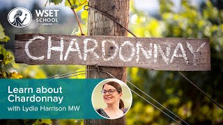 Learn about Chardonnay with Lydia Harrison MW