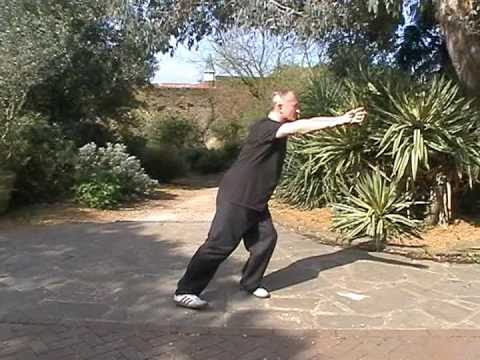 Wu Style tai chi Short Form By Michael W. Acton