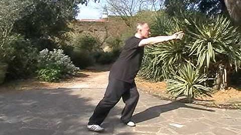 Wu Style tai chi Short Form By Michael W. Acton