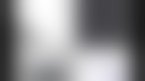 Customized European Standard Frameless License Plate Holder