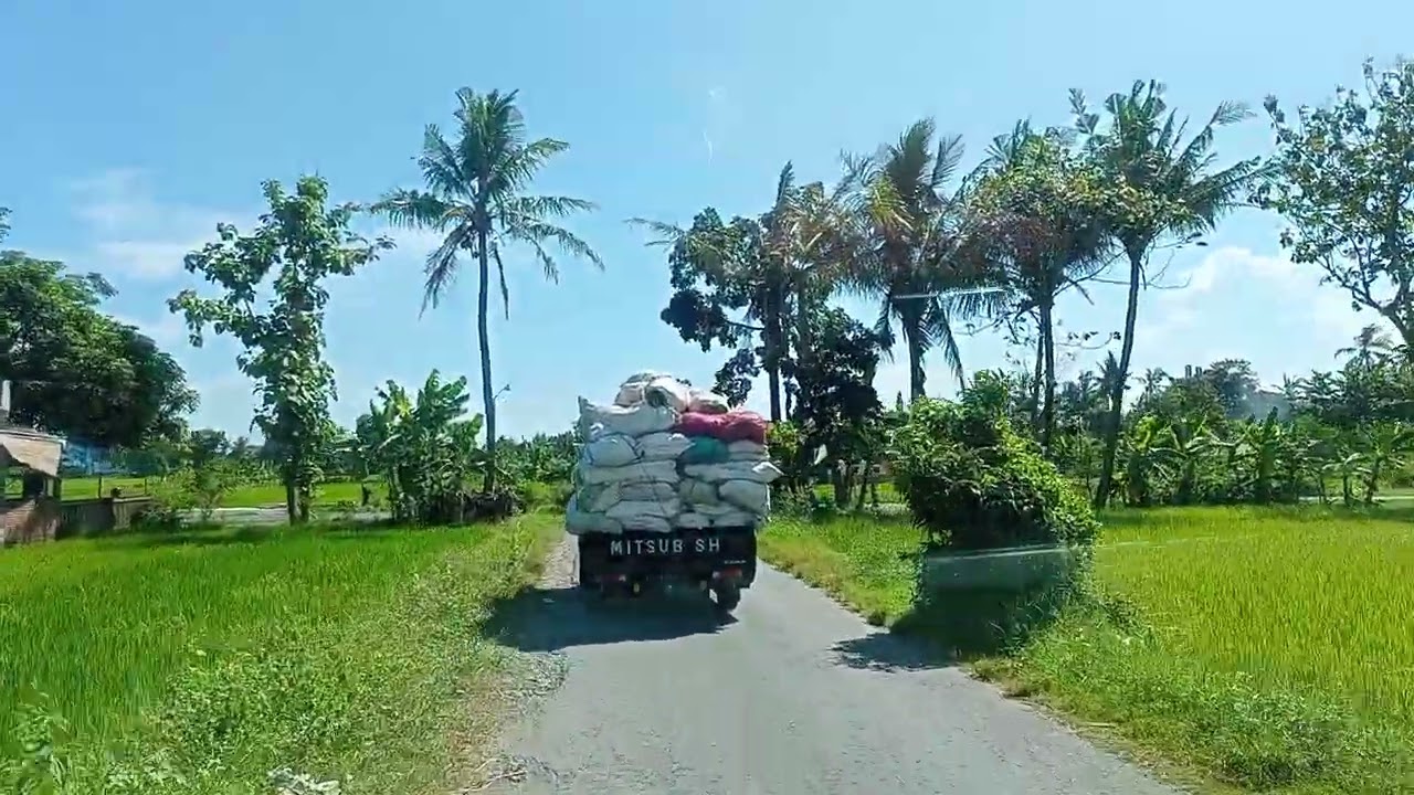 l300 muatan overload, bawa pupuk kandang gayor