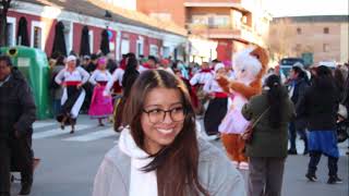 CARNAVALES DE ARANJUEZ,MADRID(ESPAÑA)14-02-2026