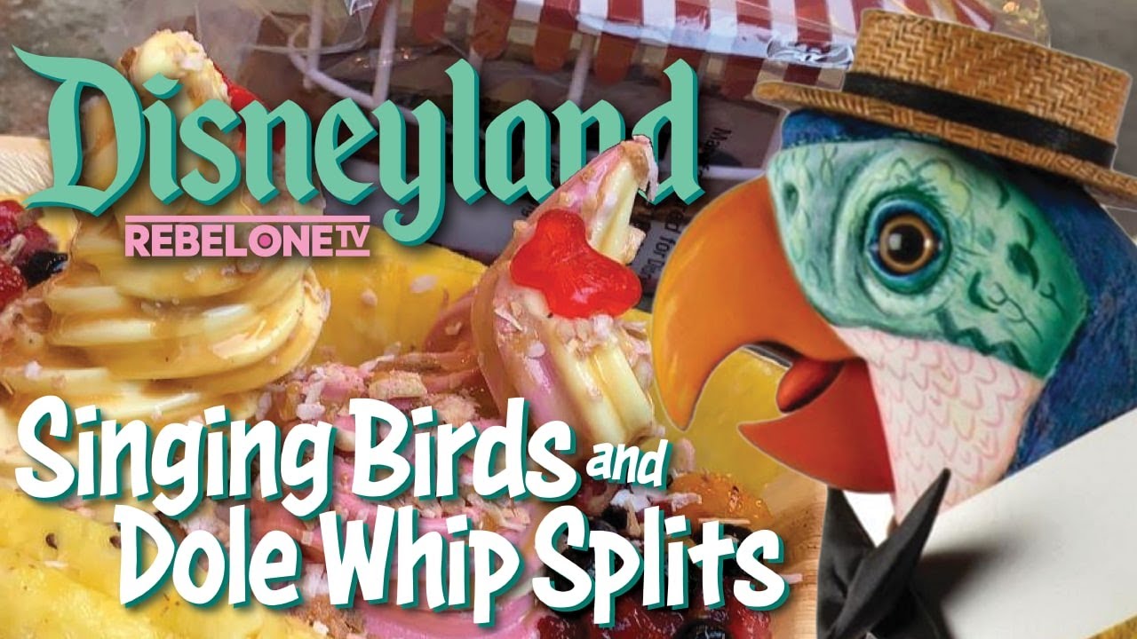 Singing Birds and Dole Whip Splits in Disneyland!