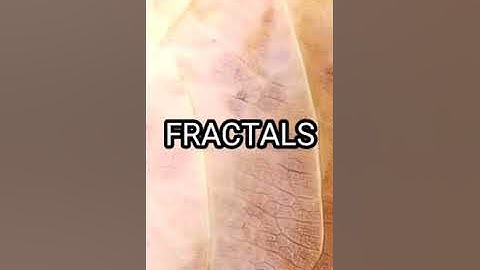 [VLOG 1] PATTERNS IN NATURE🍃- MATHEMATICS IN THE MODERN WORLD //