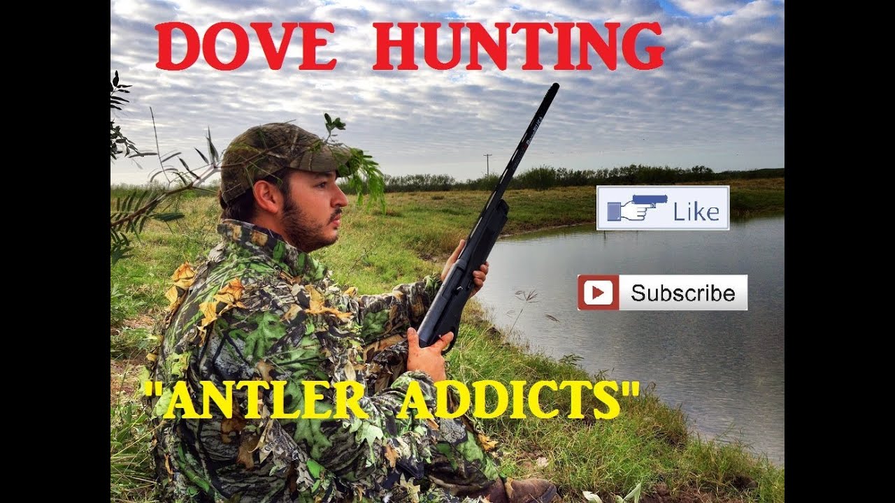 Dove Hunting with Benelli Vinci .12 Gauge Shotgun YouTube