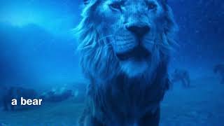 Animalz Part 11 A Heros Welcomezhen Recognizes Paddington