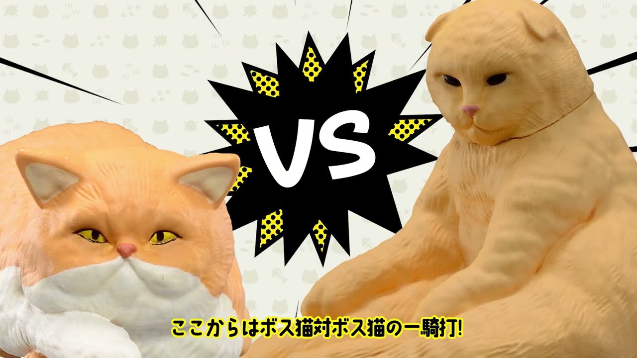 バーバリー 猫まとめ 71XYUNRpa0L._AC_UF350,