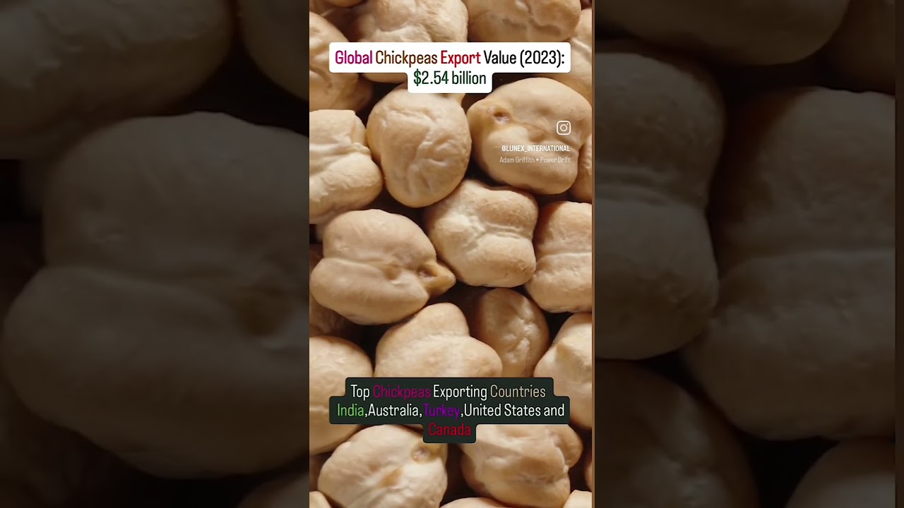 Export Business"Exporting goodness, one chickpea at a time!" 