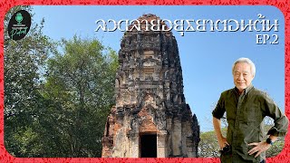 ลวดลายแบบอยุธยาตอนต้น EP 02 | Sarakadee-Muangboran PODCAST