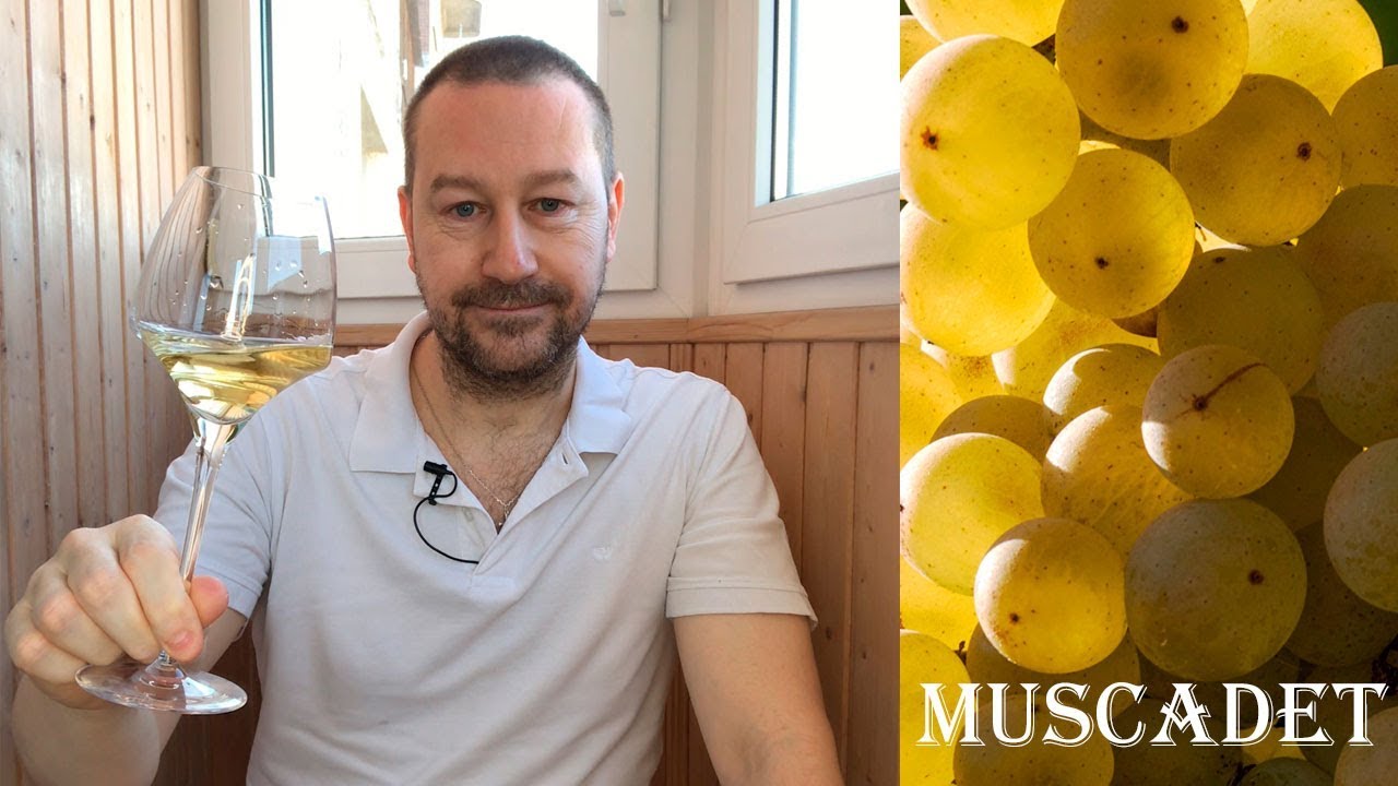 Muscadet – вино под устрицы и не только!