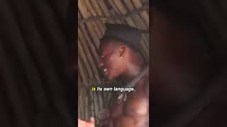 Himba isn’t “just a language”—it’s a whole worldview.
