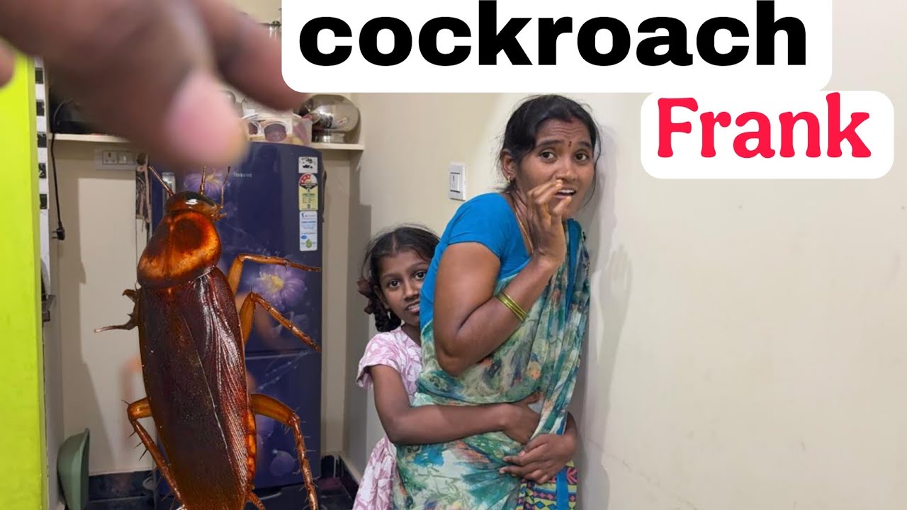 మా ఆయన నామీద cockroach Frank చేసిండు  ఫ్రెండ్స్  || last వరకు video చూడండి full comdey గా ఉంటుంది ||