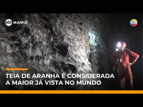 Video teia-de-aranha-gigante-em-caverna-intriga-cientistas-na-europa-sbt-manha