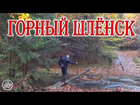 Загадочная дорога в лесу (English subtitles)