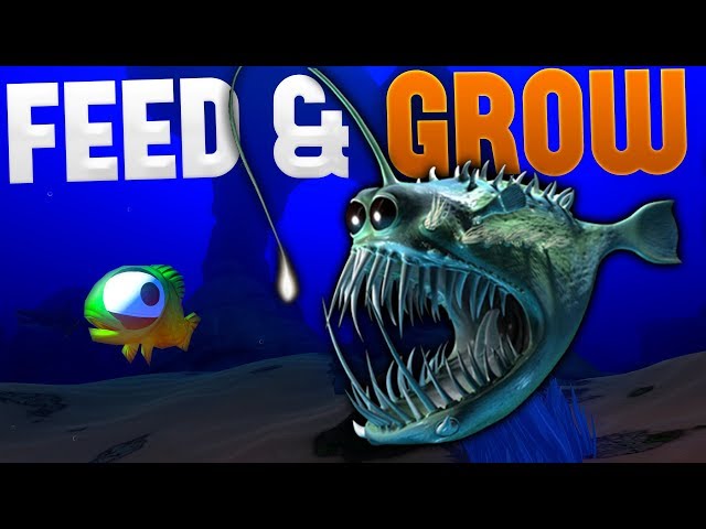 Setting an Ambush - Angler Fish Update! - Feed and Grow Fish