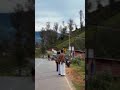 மனதை கொள்ளை அடிக்கும் நீலகிரி