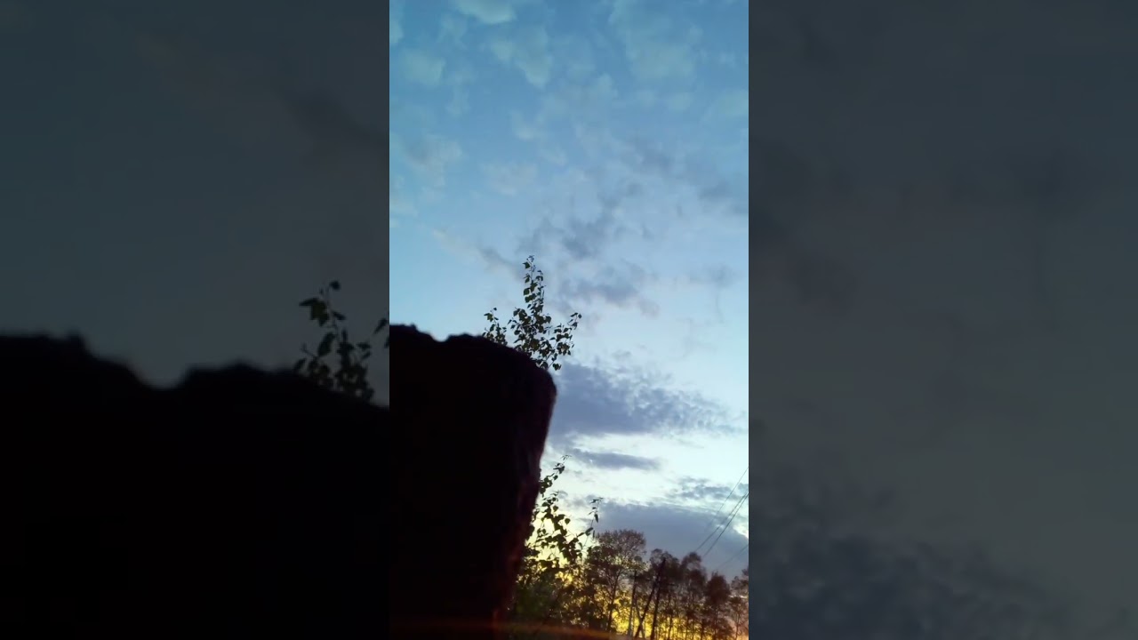 🐾🐺🌠закат канал мишаня в мире животных🐾🐺🌠