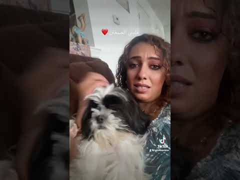 شو حلو حبيبي شو حلو هالقمر شوفوا ما اجمل اسمعوا اذا بتسمحوا