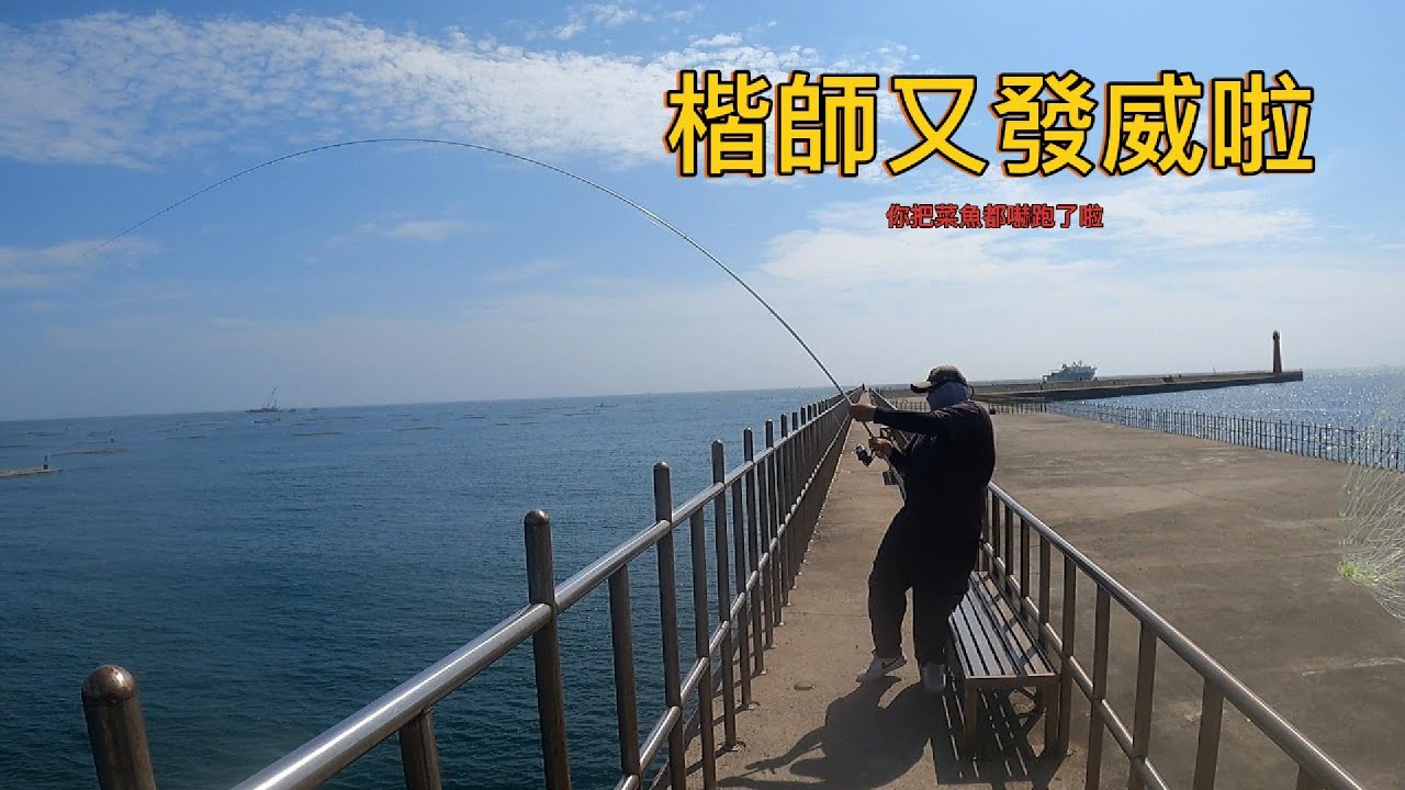 ｜尋找南提大物的蹤跡｜看你被欺負才好看啦｜一早就讓人家這麼開心 真好｜