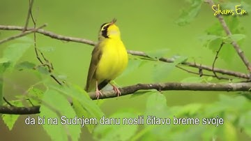 سورة النحل - ناصر القطامي | Sura AL-Nahl - Nasser AL-Qatami