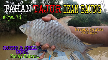 Tahan Tajur | Sambil Menjaring | Rezeki Kerai
