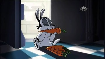 Boomerang UK Bunnicula New Show Teaser Promo