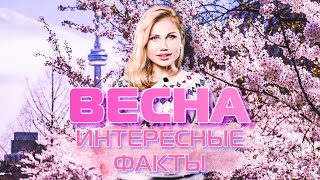 Когда Придёт Весна? | Что Мы Не Знали?