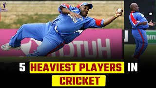 दुनिया के 5 सबसे भारी भरकम क्रिकेटर्स | Top 5 Heaviest Cricketers in the World, Cricket History screenshot 5