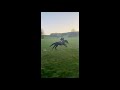 Equestrian Riding a Majestic Black Horse Unleashing Its Full Speed