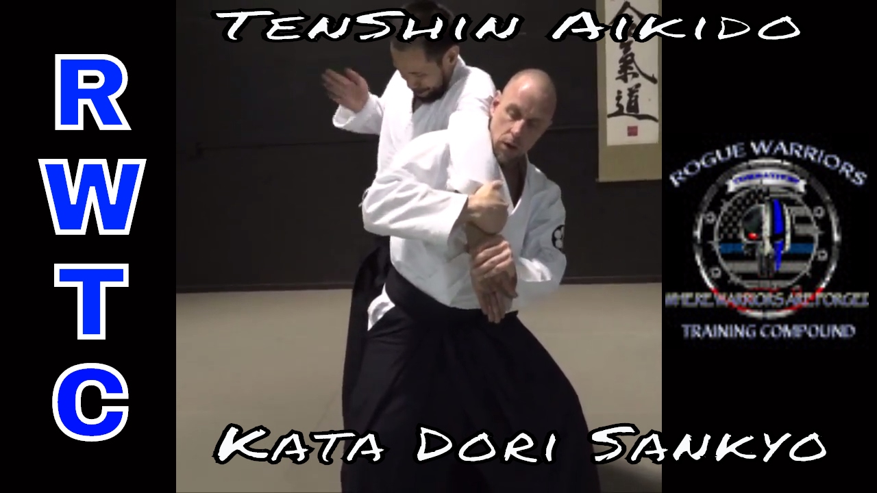 Как выполнять Ката Дори Санкё - ТенСин Айкидо #takeaikidoback