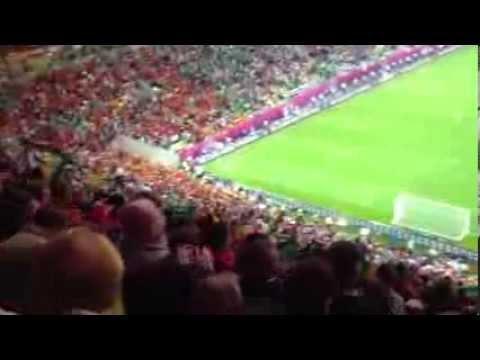 ირლანდიელთა საოცარი გულშემატკივრობა